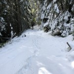 IMG_5445-(1088)