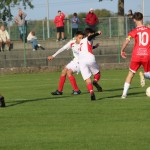IMG_6017-(1088)