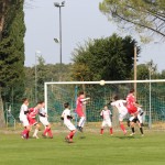 IMG_6084-(1088)