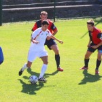 070-nog1AL_ZarjaMladost