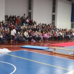 001_cheerdanceNovoletniPlesniFestival2015