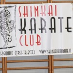 006_karShinkaiBozicnica