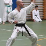 017_karShinkaiBozicnica