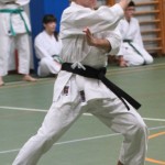 019_karShinkaiBozicnica