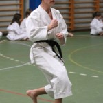 020_karShinkaiBozicnica