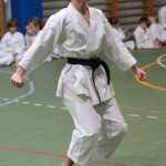 021_karShinkaiBozicnica