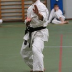 022_karShinkaiBozicnica