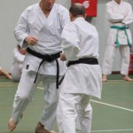 027_karShinkaiBozicnica