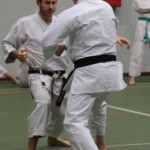 028_karShinkaiBozicnica