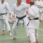 029_karShinkaiBozicnica