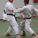 031_karShinkaiBozicnica