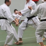 033_karShinkaiBozicnica