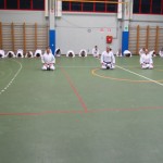 040_karShinkaiBozicnica