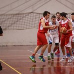 042_kosDliga_KontovelPerteole