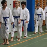 043_karShinkaiBozicnica