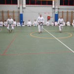 045_karShinkaiBozicnica