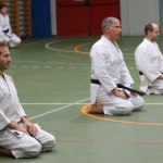 049_karShinkaiBozicnica