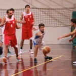 052_kosDliga_KontovelPerteole