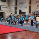 056_cheerdanceNovoletniPlesniFestival2015-1