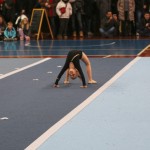 059_cheerdanceNovoletniPlesniFestival2015-1