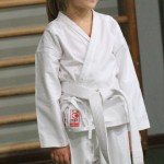 062_karShinkaiBozicnica