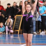 065_cheerdanceNovoletniPlesniFestival2015-1