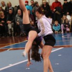 066_cheerdanceNovoletniPlesniFestival2015-1