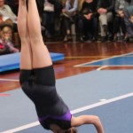 068_cheerdanceNovoletniPlesniFestival2015