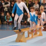 082_cheerdanceNovoletniPlesniFestival2015