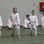 087_karShinkaiBozicnica