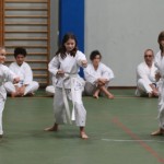 088_karShinkaiBozicnica