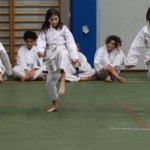 089_karShinkaiBozicnica