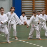 090_karShinkaiBozicnica