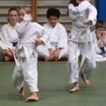 091_karShinkaiBozicnica