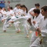 092_karShinkaiBozicnica