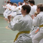 093_karShinkaiBozicnica