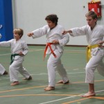 095_karShinkaiBozicnica