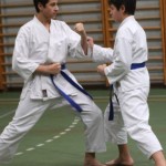 098_karShinkaiBozicnica