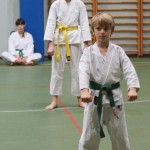 100_karShinkaiBozicnica