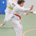 103_karShinkaiBozicnica