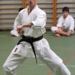 106_karShinkaiBozicnica