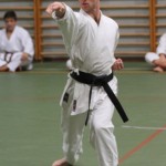 107_karShinkaiBozicnica