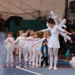 110_cheerdanceNovoletniPlesniFestival2015