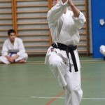 110_karShinkaiBozicnica