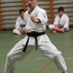 111_karShinkaiBozicnica