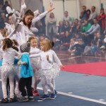 113_cheerdanceNovoletniPlesniFestival2015