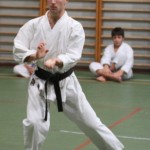 113_karShinkaiBozicnica