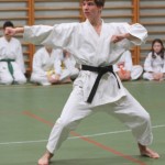 116_karShinkaiBozicnica