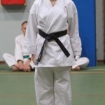 118_karShinkaiBozicnica