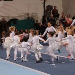 119_cheerdanceNovoletniPlesniFestival2015-1